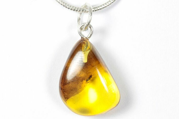 Polished Baltic Amber Pendant (Necklace) - Contains Insect! #357934